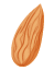 Doodles_Dry-Fruit-10